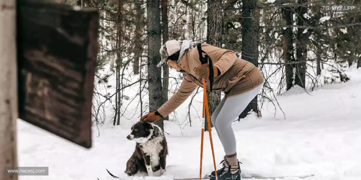 🏆 见证每一刻荣耀，体育赛事官网，让热爱永不缺席！